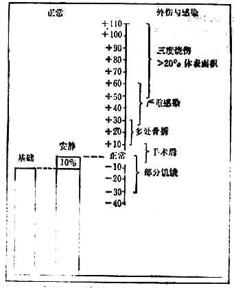 急性分解代谢安静能量消耗量的增加数与部分饥饿时减少数的比较