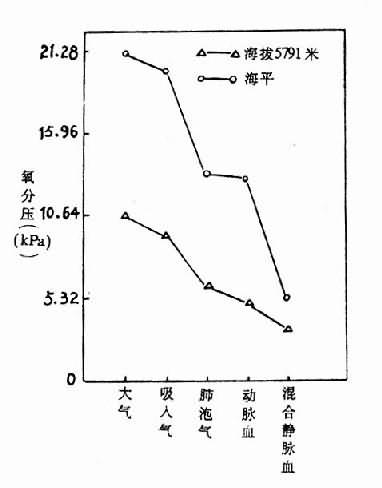 在海平和5791米高度时氧分压的变化