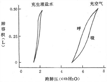 充空气和充生理盐水时肺的顺应性曲线