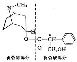 莨菪碱