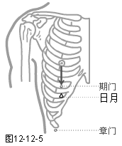 足厥阴肝经穴