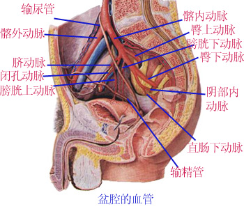 Glp2x9iv.JPG