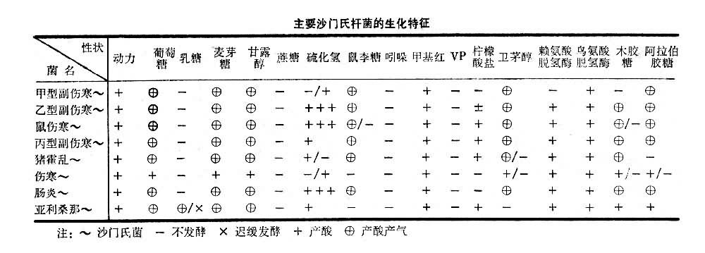 主要沙门氏杆菌的生化特征表