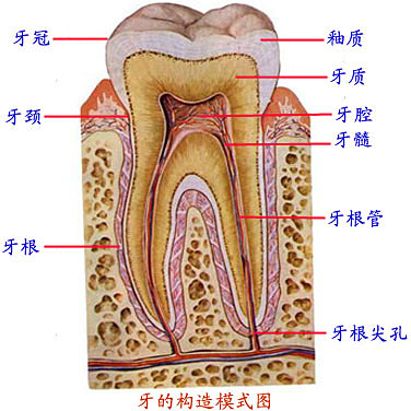 Glnh4p3y.jpg