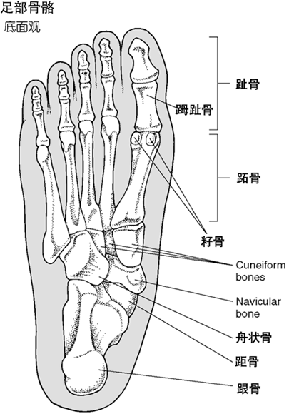 足部骨折