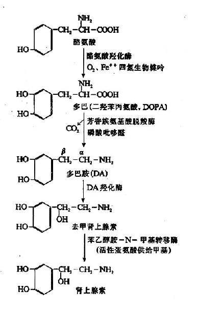 Gra71d50.jpg