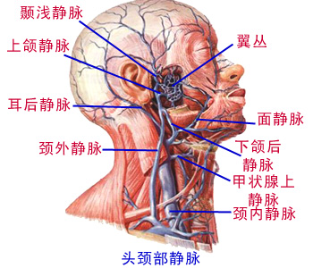 Glp379z2.jpg