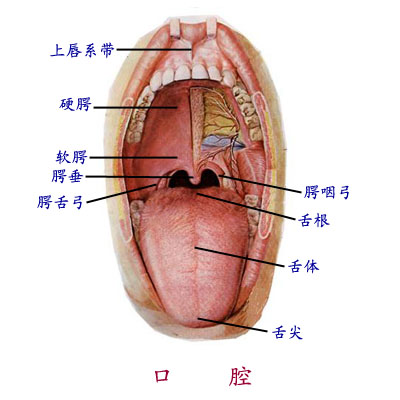 Glnh4sii.jpg