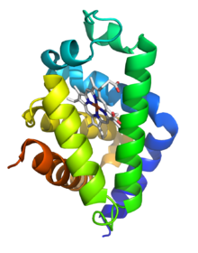 Neuroglobin.png