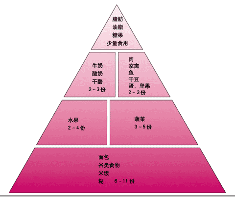 膳食金字塔