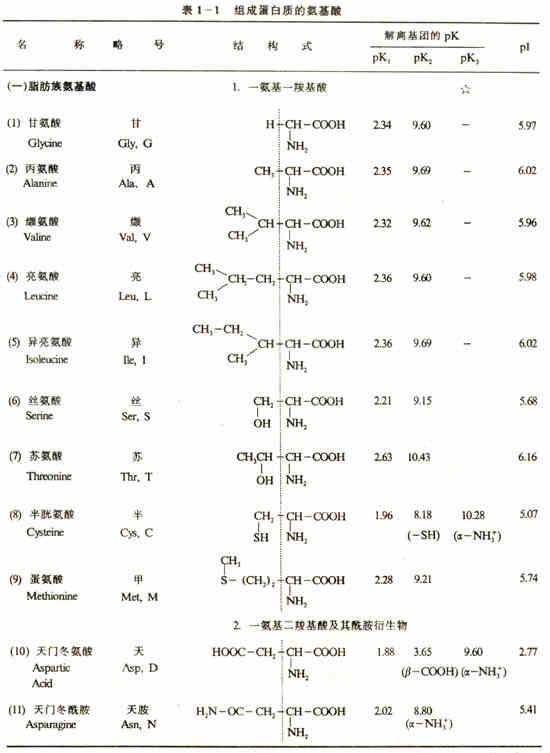 氨基酸的分类