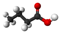 酪酸的分子含有四个碳原子