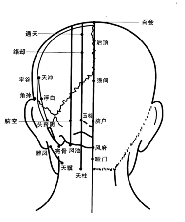 Toubeixue.png