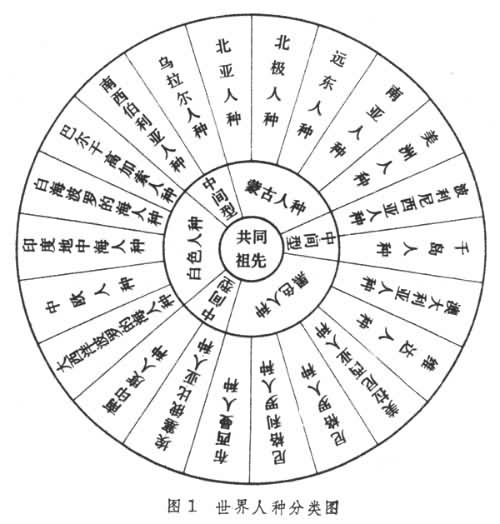 世界人种分类图.jpg