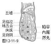 足少阳胆经穴