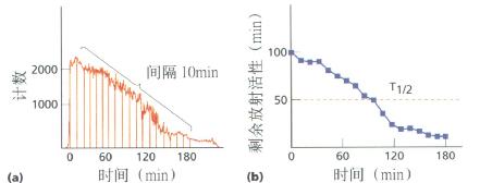 图示(a)试餐后碘衰变曲线，(b)餐后各时间段放射性活性剩余量