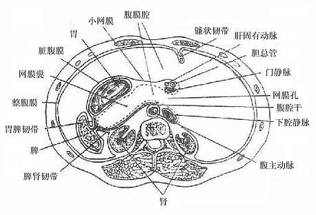 Glz4q4x5.jpg