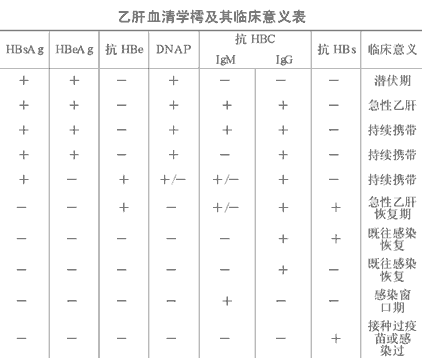 乙肝血清学樗及其临床意义表