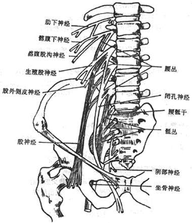 Glz5v065.jpg